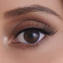 Eyelashes - Birds of Paradise