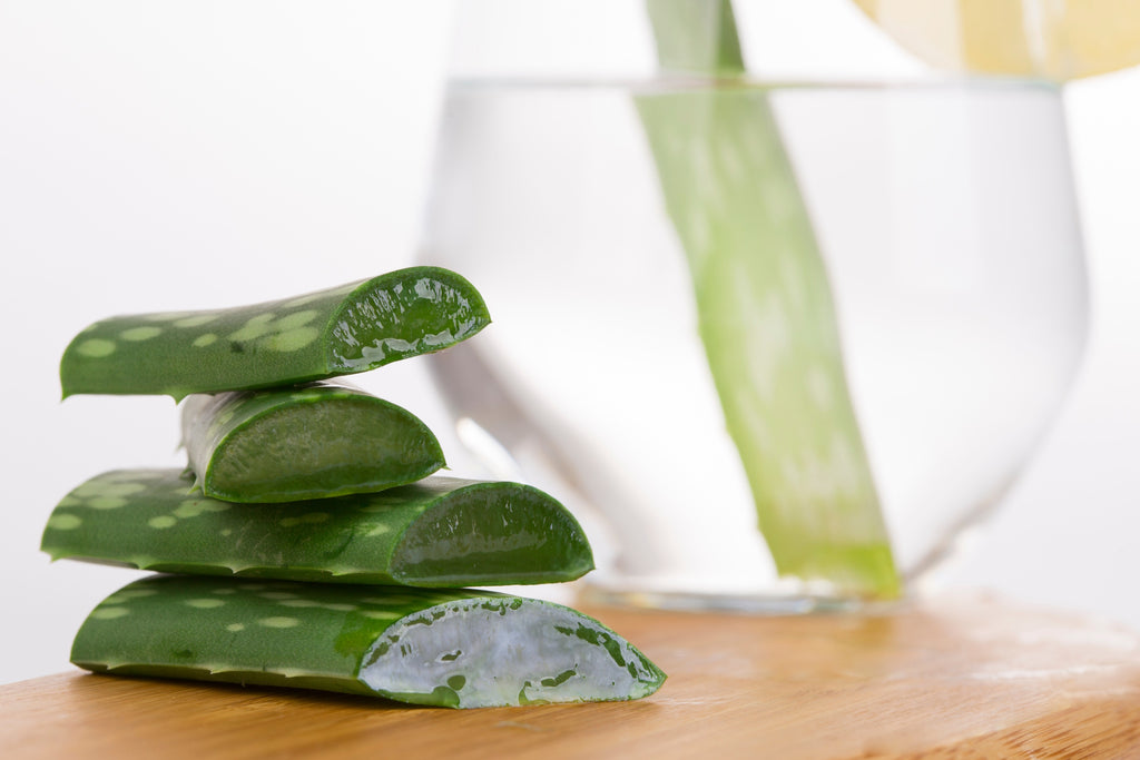 Aloe Vera