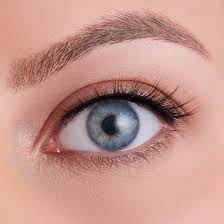 Silk Eyelashes - TBT
